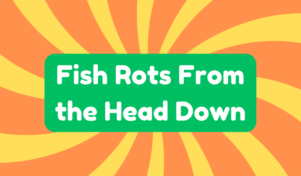 Fish Rots From the Head Down