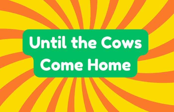 Until the Cows Come Home