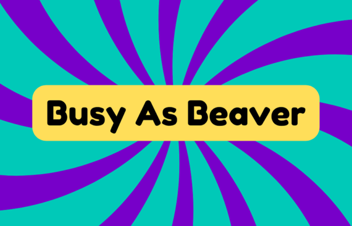 Busy as a Beaver