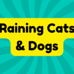 Raining Cats and Dogs