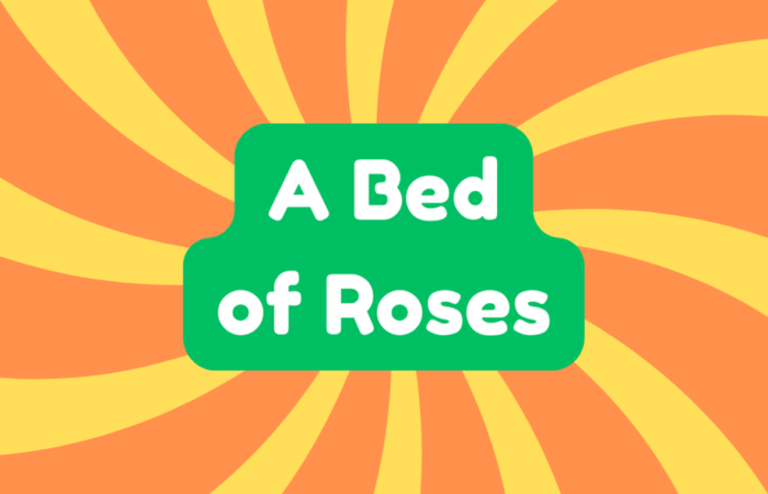 A Bed of Roses