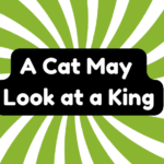 Cat May Look at a King