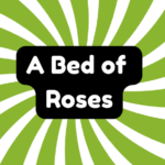 A Bed of Roses