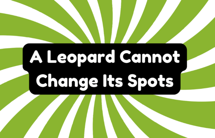 A Leopard Cannot Change Its Spots