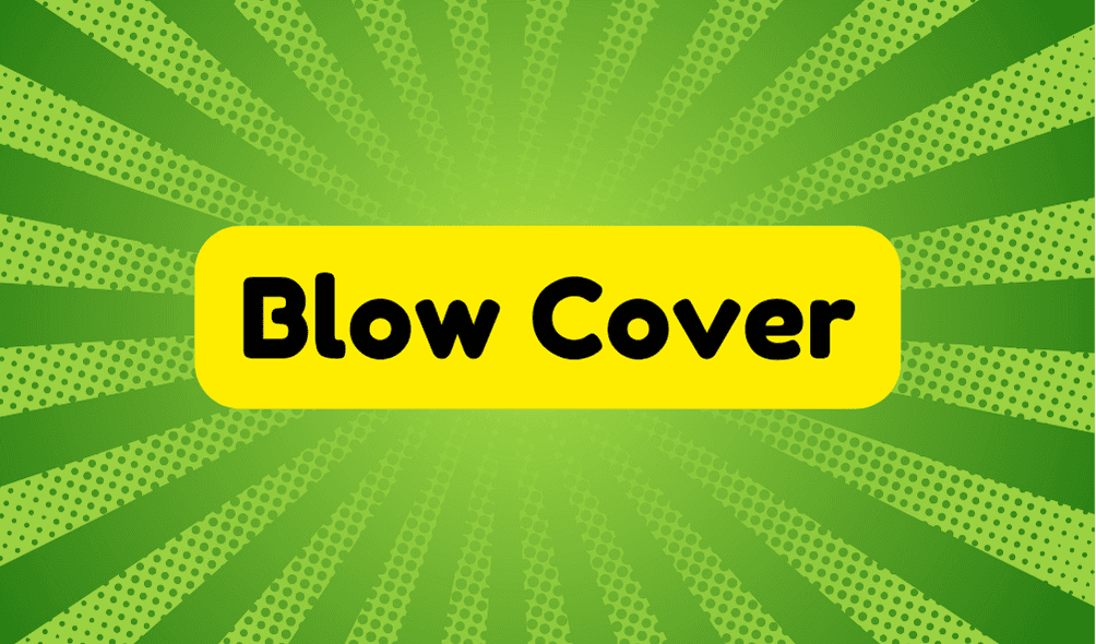 Blow Cover