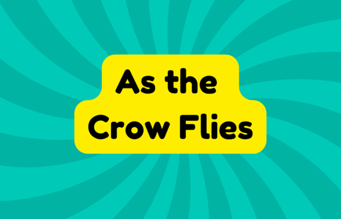 As the Crow Flies