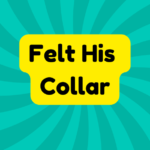 Felt His Collar