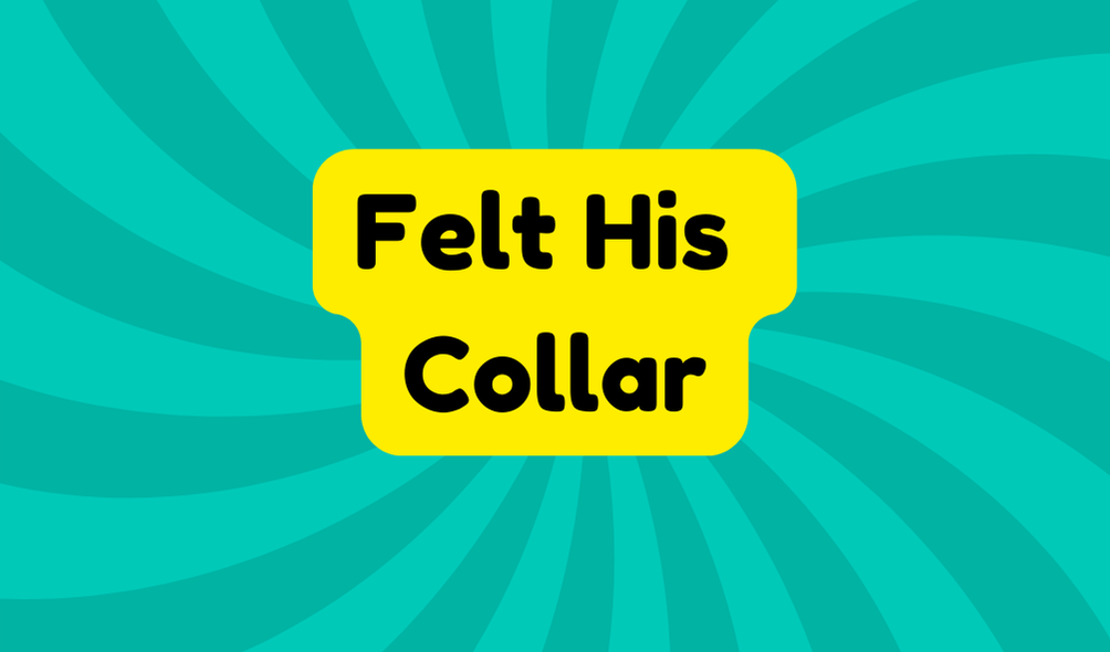 Felt His Collar