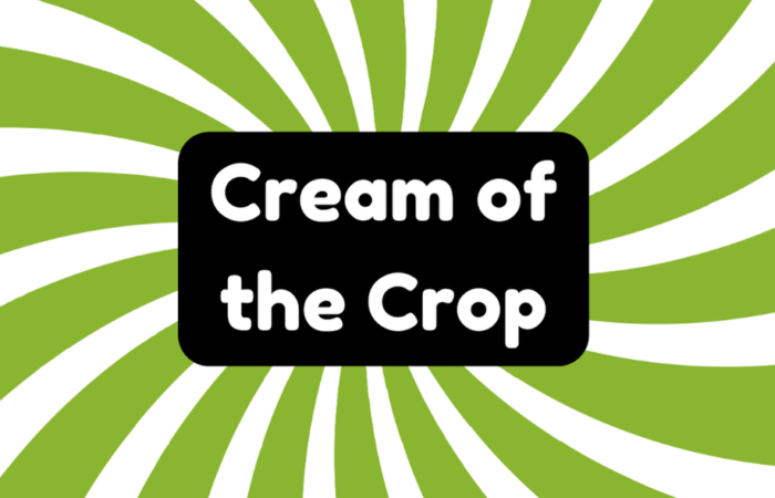 Cream of the Crop