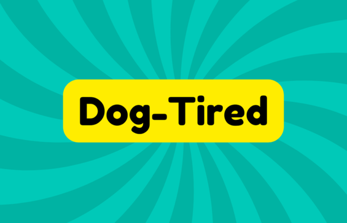 Dog Tired