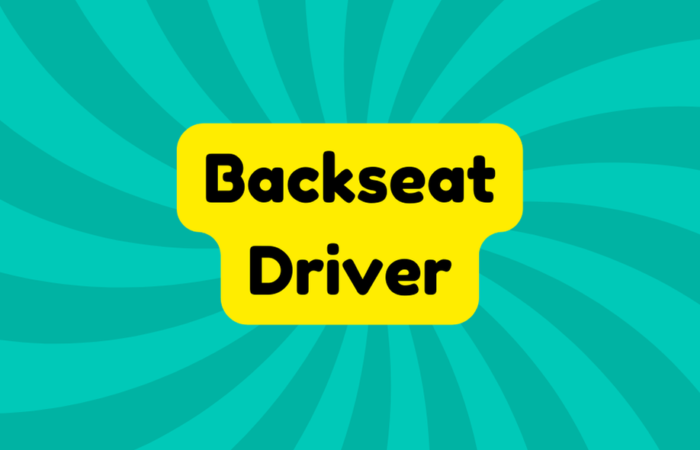 Backseat Driver