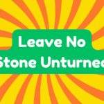 Leave No Stone Unturned