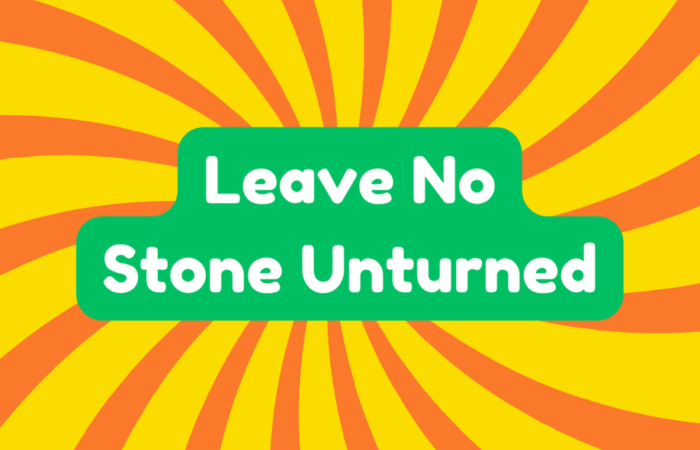Leave No Stone Unturned