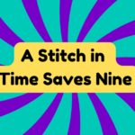 A Stitch in Time Saves Nine 1 A Stitch in Time Saves Nine