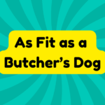 As Fit as a Butcher’S Dog 3 as fit as a butcher's dog