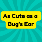 As Cute as a Bug’s Ear 4 as cute as a bug's ear