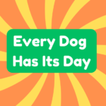 Every Dog Has Its Day