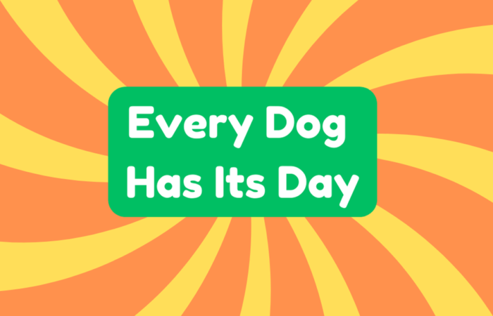 Every Dog Has Its Day