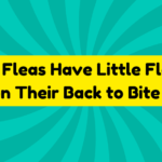 Big Fleas Have Little Fleas Upon Their Back to Bite Em 1 Big Fleas Have Little Fleas Upon Their Back to Bite ’Em