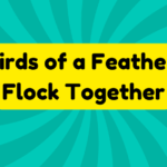 Birds of a Feather Flock Together 4 Birds of a Feather Flock Together