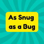 As Snug as a Bug 2 As Snug as a Bug