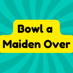 Bowl a Maiden Over 1 Bowl a Maiden Over