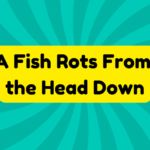 A Fish Rots From the Head Down 3 A Fish Rots From the Head Down
