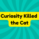 Curiosity Killed the Cat 1 Curiosity Killed the Cat