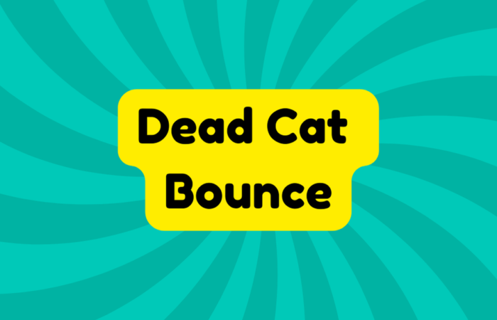 Dead Cat Bounce