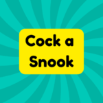 Cock a Snook