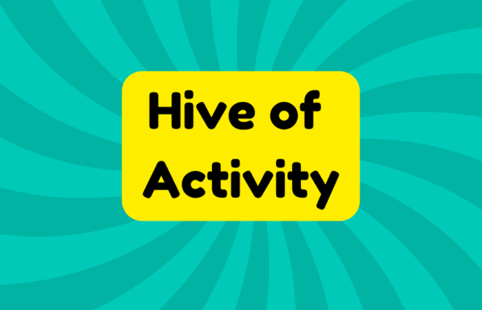 Hive of Activity