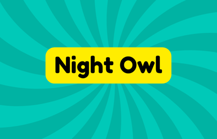 Night Owl