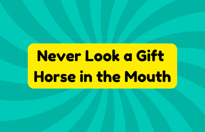 Never Look a Gift Horse in the Mouth