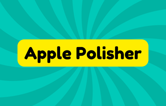 Apple Polisher