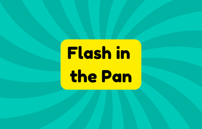 Flash in the Pan